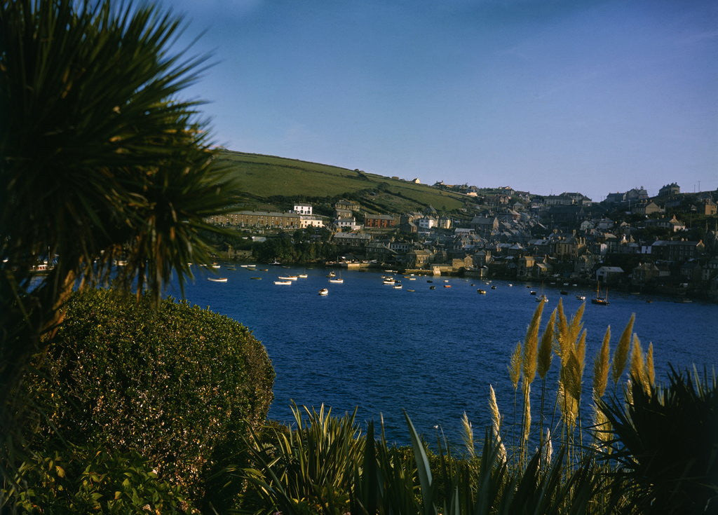 Detail of View of Pohnan-by-Fowey by Anonymous