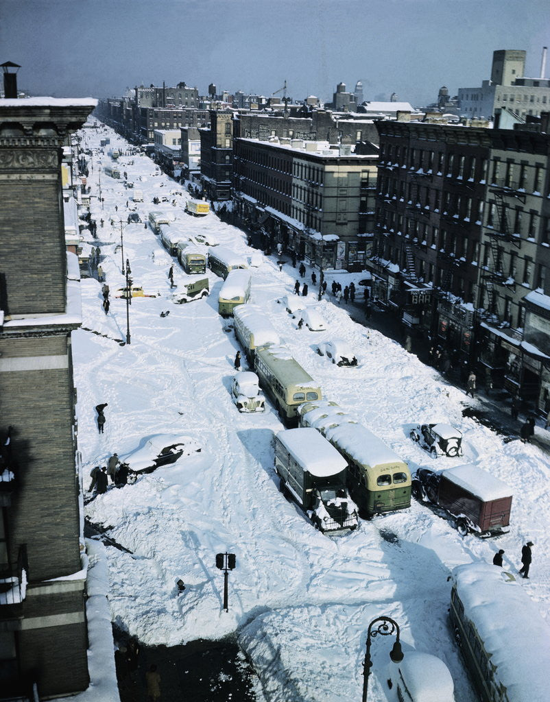 Detail of Snow Covered Street and Cars by Anonymous