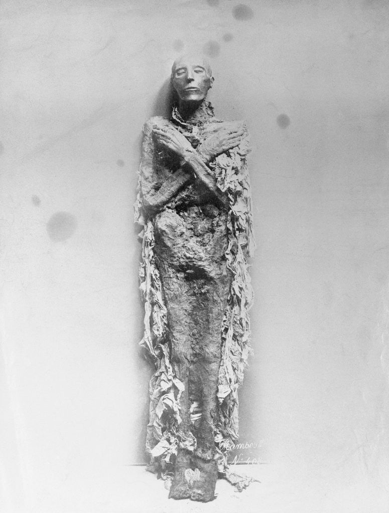 Detail of The Mummy of King Ramses by Anonymous