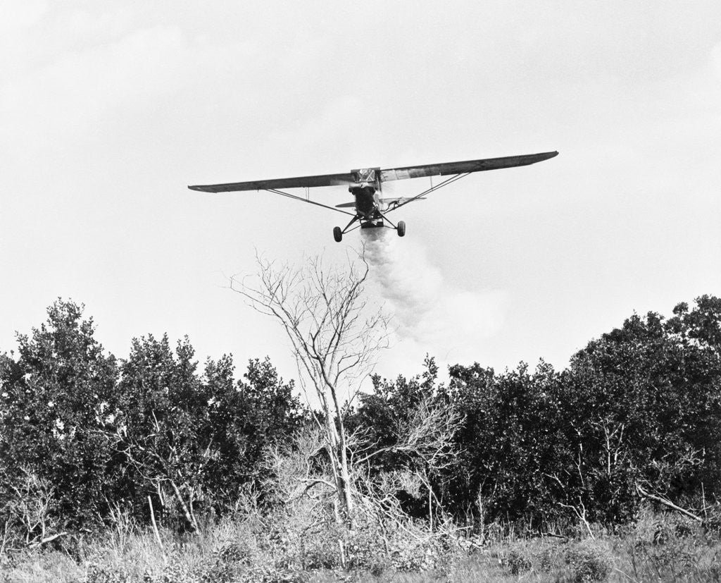 Detail of Airplane Dropping Cloud of Mosquito Insecticide by Anonymous