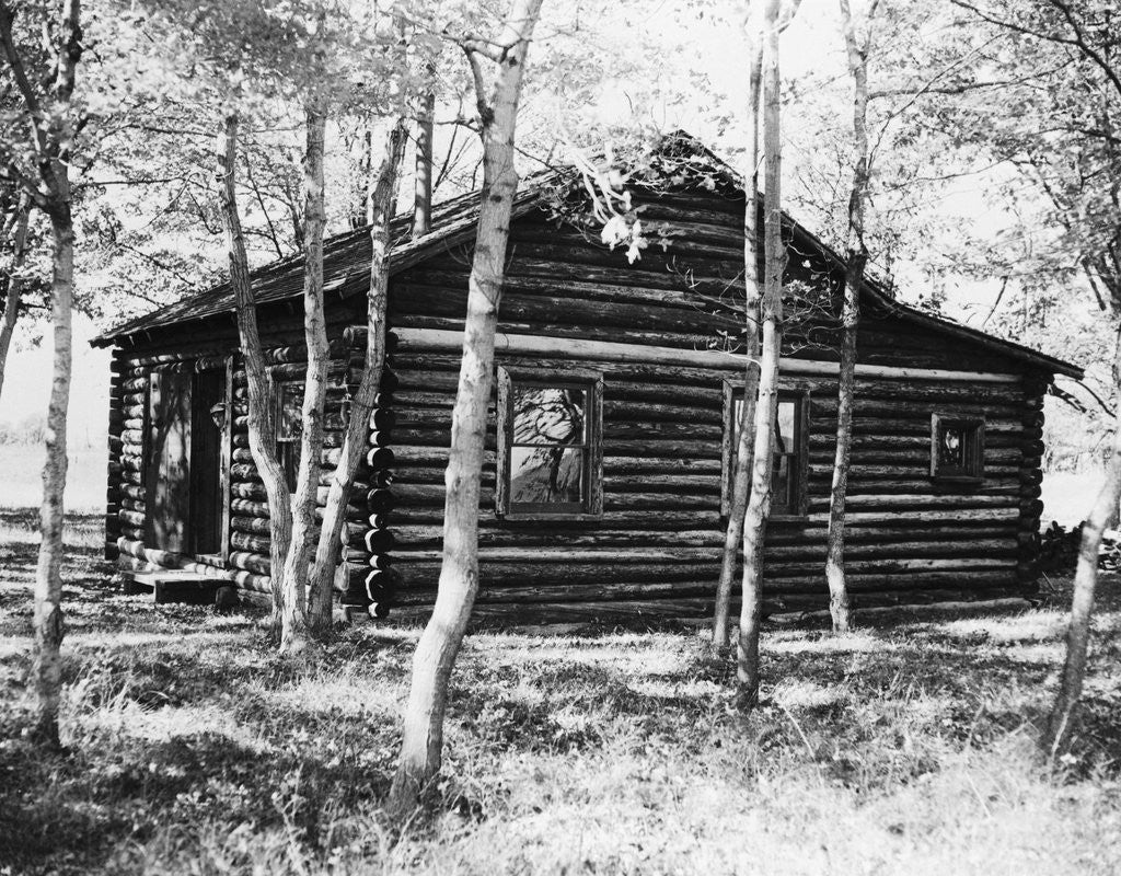 Detail of Exterior View of a Log Cabin by Anonymous