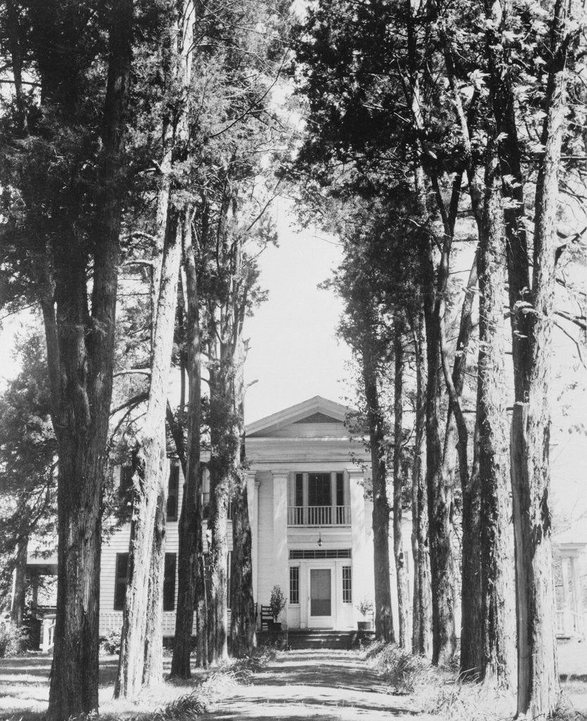 Detail of Exterior of House Belonging to Author William Faulkner by Anonymous