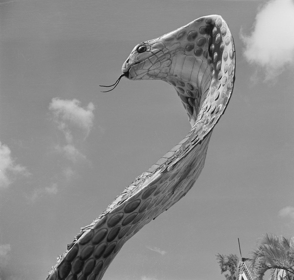 Detail of Giant Replica of King Cobra by Anonymous