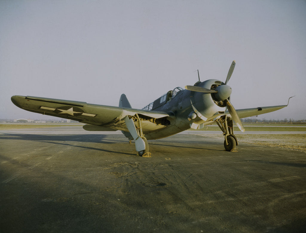Detail of Navy Curtiss-Wright SB2C Helldiver on a Tarmac by Anonymous