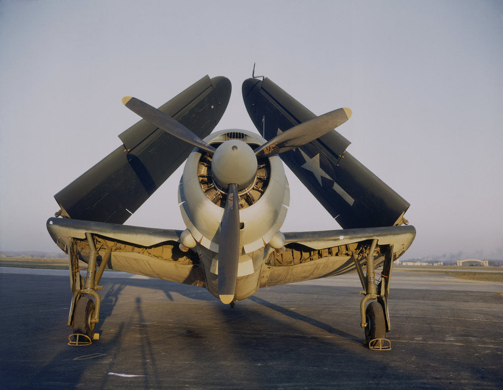Detail of Navy Curtiss-Wright SB2C Helldiver with Wings Folded Up by Anonymous