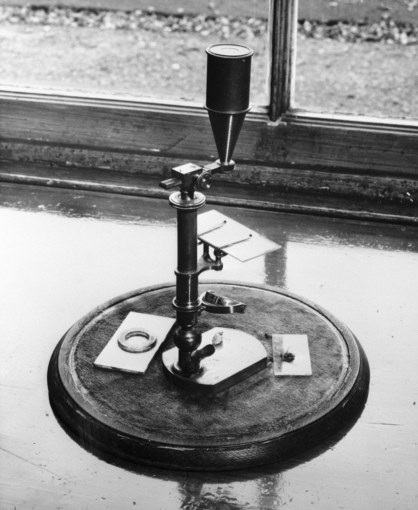 Detail of Microscope Used by Charles Darwin by Anonymous