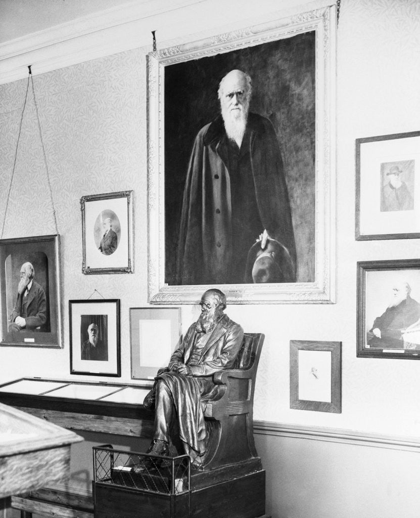 Detail of Statue and Painting of Charles Darwin by Anonymous