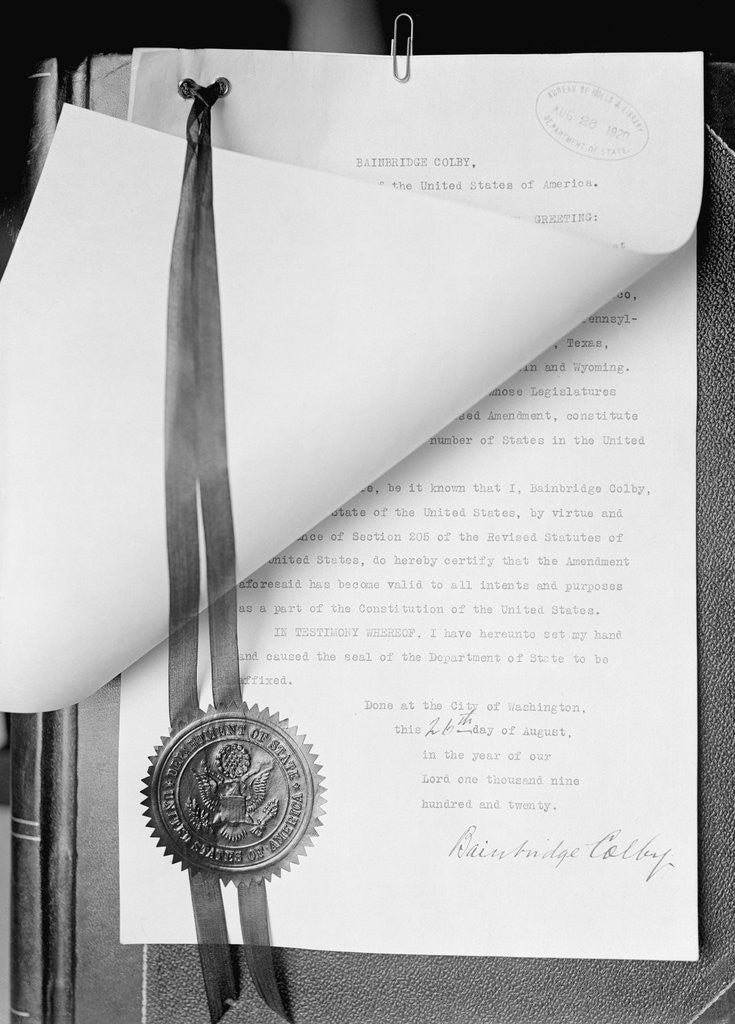 Detail of Official Proclamation of Ratification of Suffrage Amendment by Anonymous