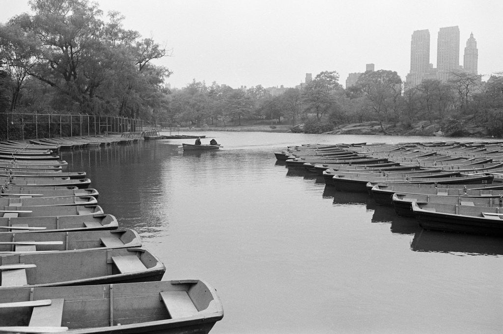 Detail of Empty Boats in Central Park by Anonymous