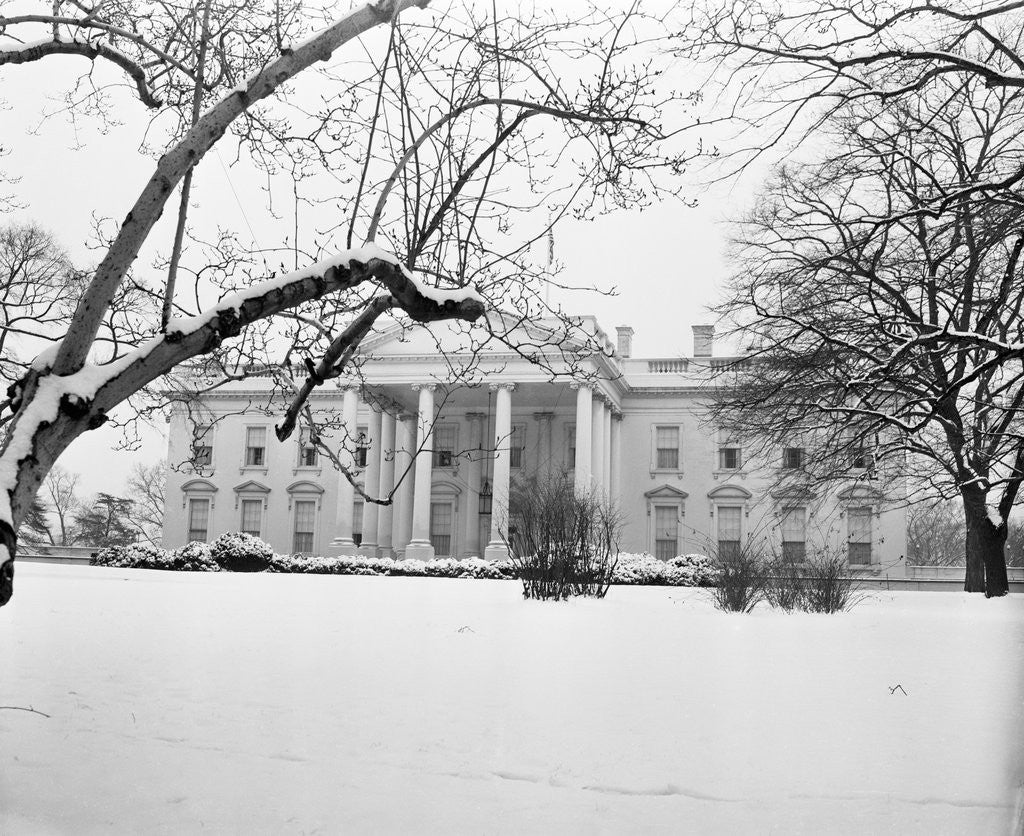 Detail of Snow Covering the White House Lawn by Anonymous