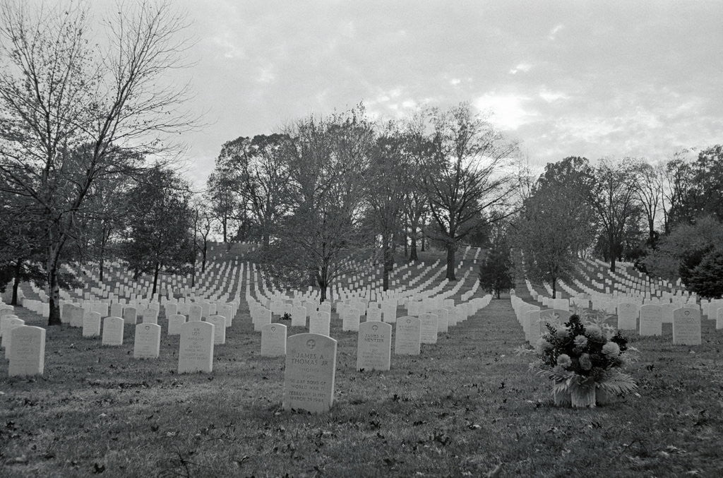 Detail of View of Arlington Cemetery by Anonymous
