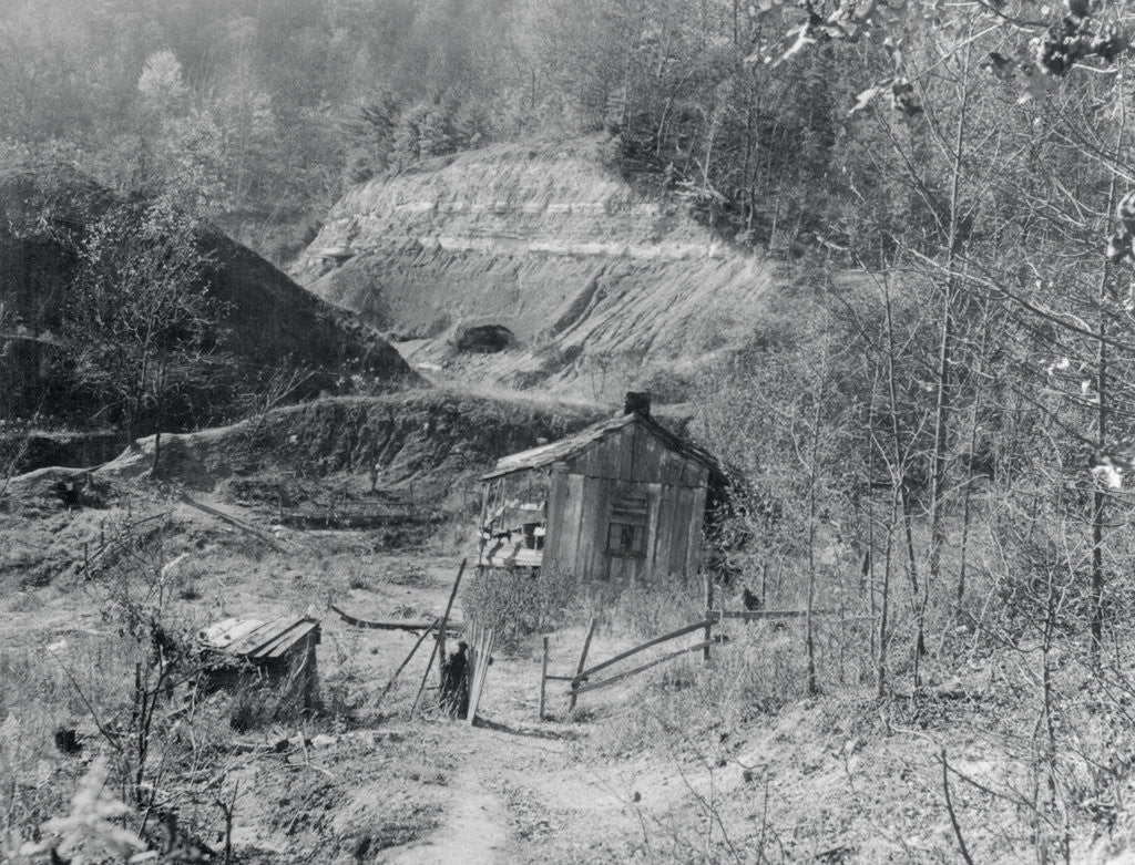 Detail of Exterior View of a Shanty by Anonymous