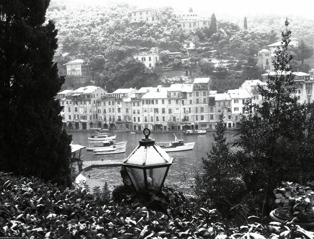 Detail of Italian Riviera by Anonymous