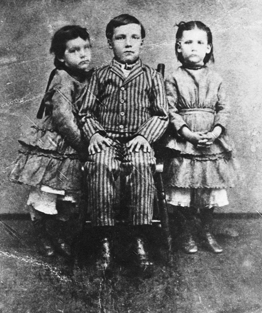 Detail of Warren Harrding at Six Years Old by Anonymous