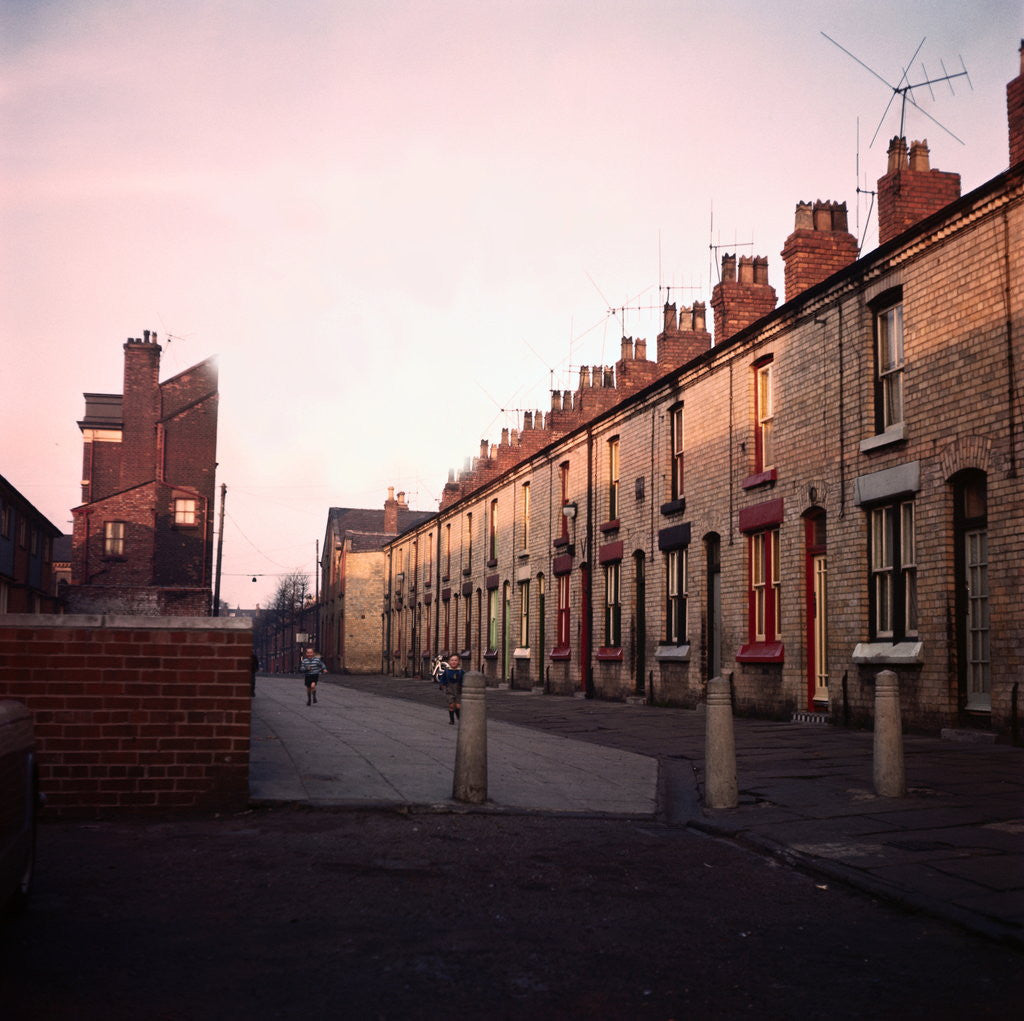 Detail of Admiral Grove by Anonymous