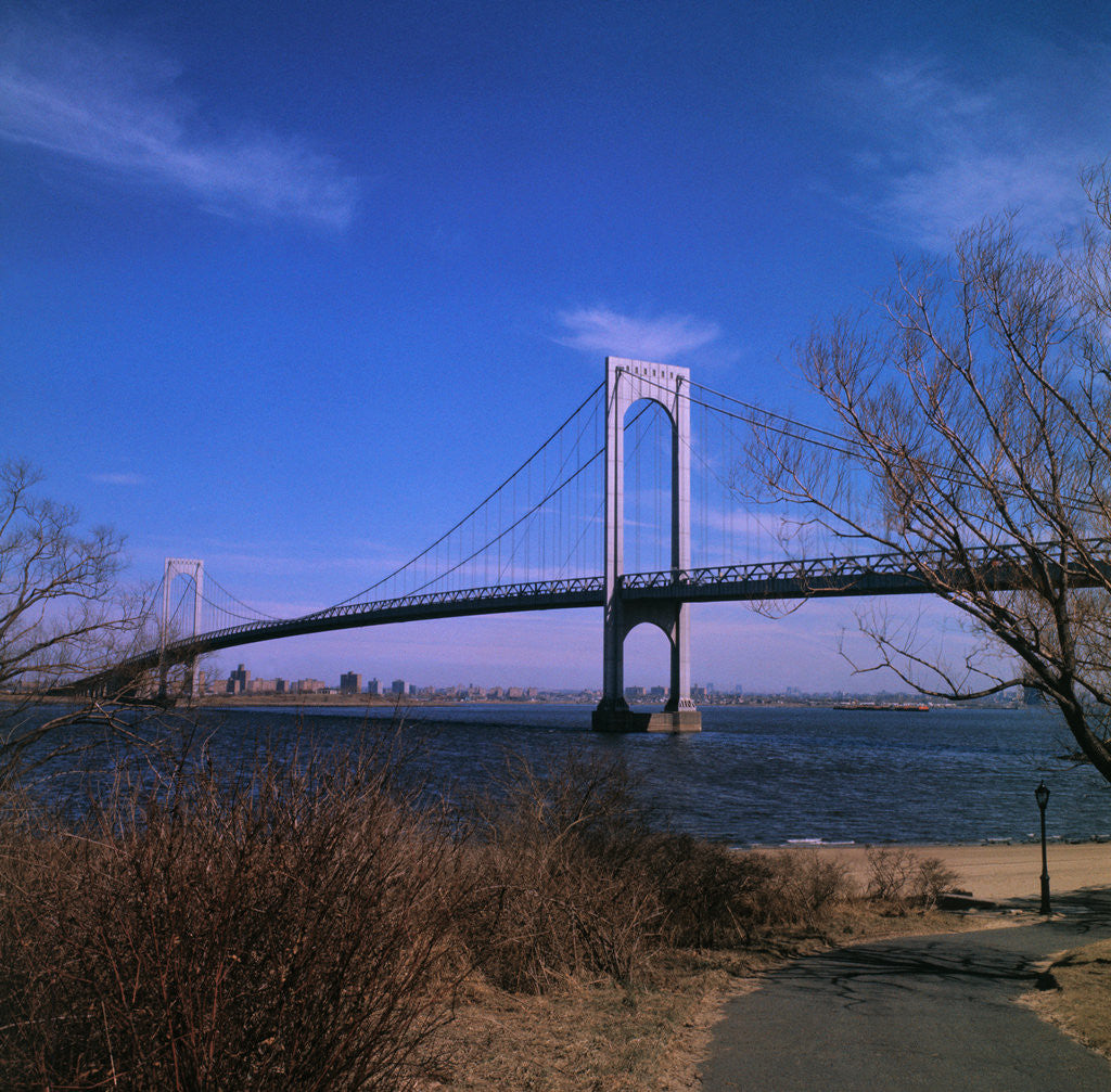 Detail of View of Verrazano Narrows Bridge by Anonymous