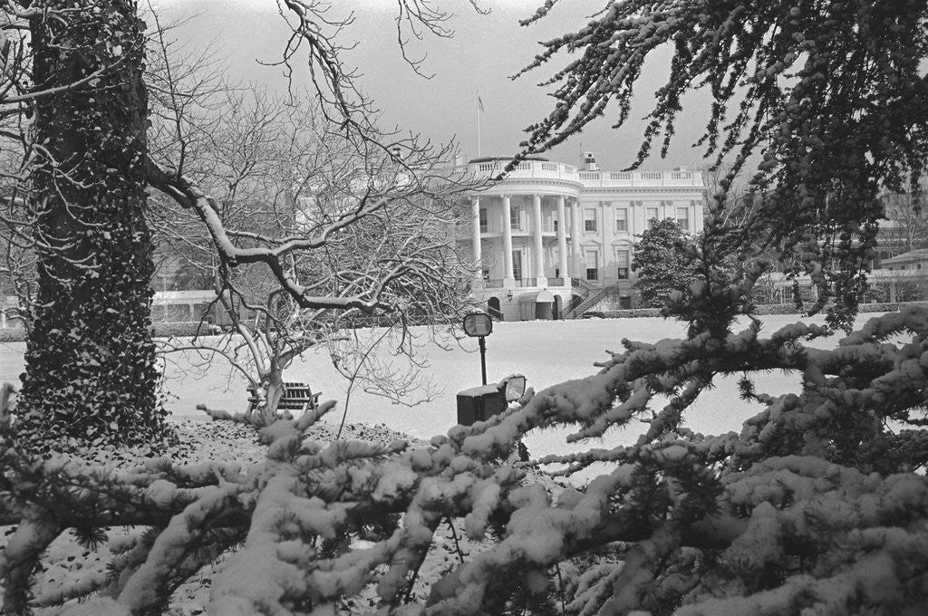 Detail of White House Lawn Covered in Snow by Anonymous