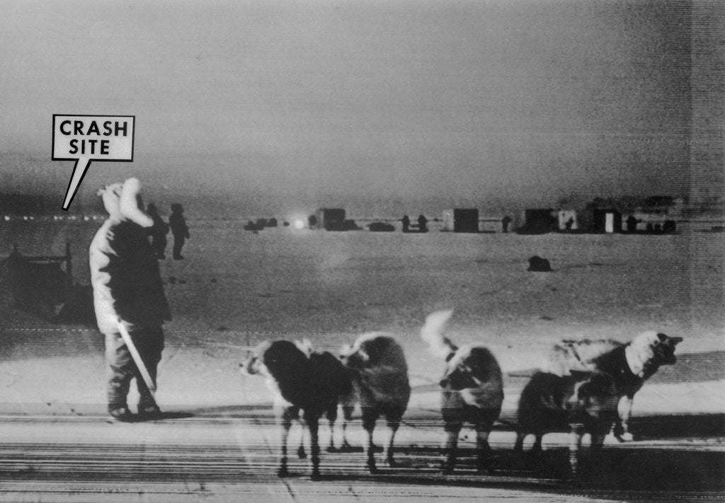 Detail of Man Standing with Eskimo Dogs by Anonymous