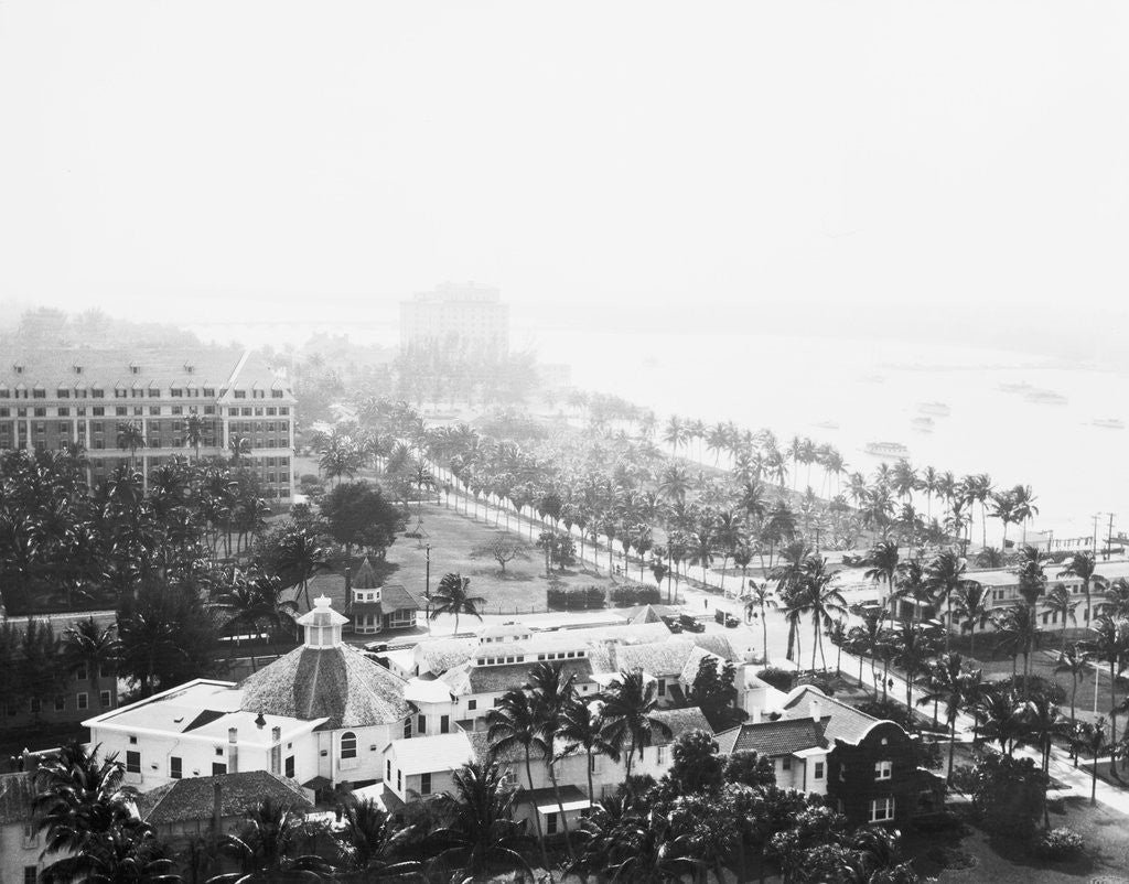 Detail of View of Palm Beach Near Ocean by Corbis