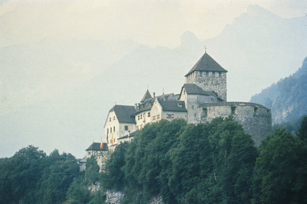 Detail of Liechtenstein Castle by Anonymous