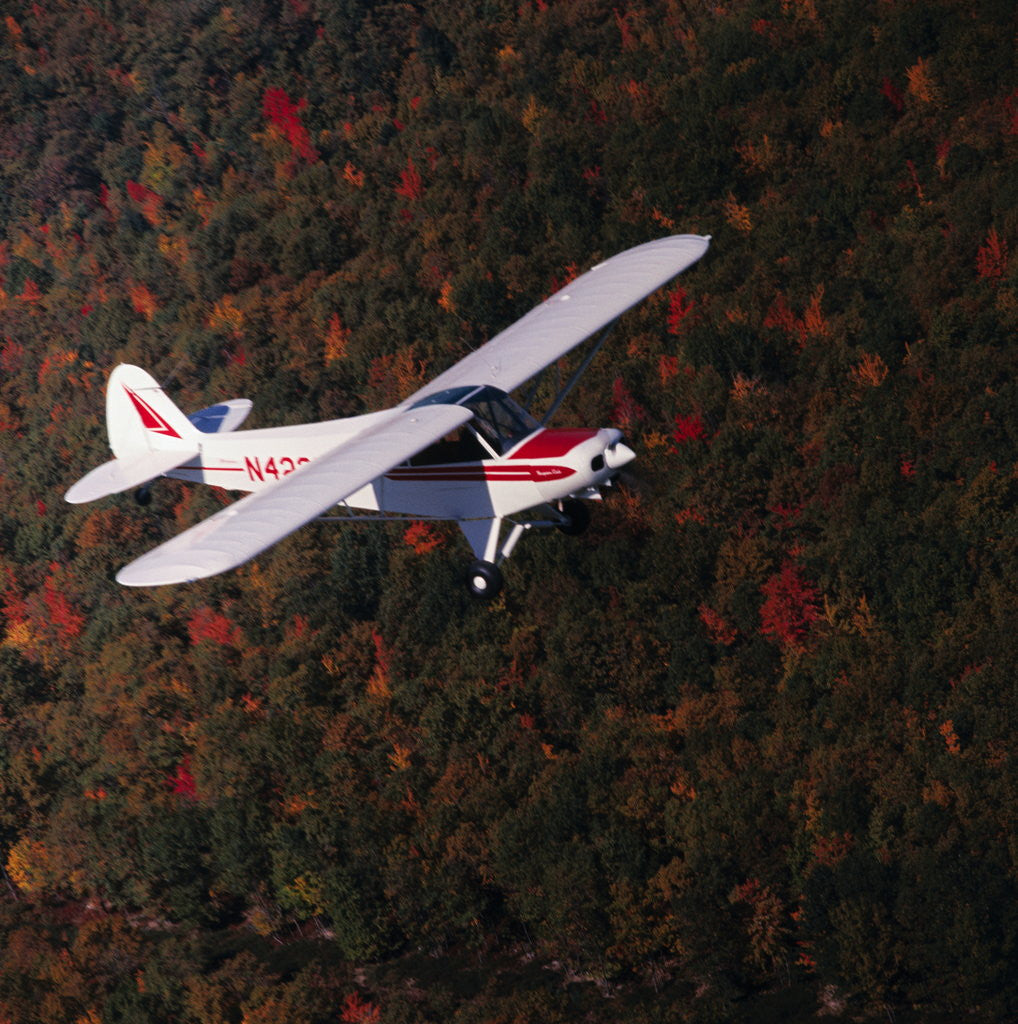 Detail of Super Cub Piper Plane by Anonymous