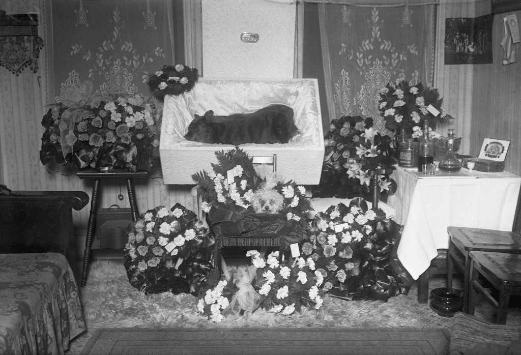 Detail of Funeral for Pet Bulldog by Corbis