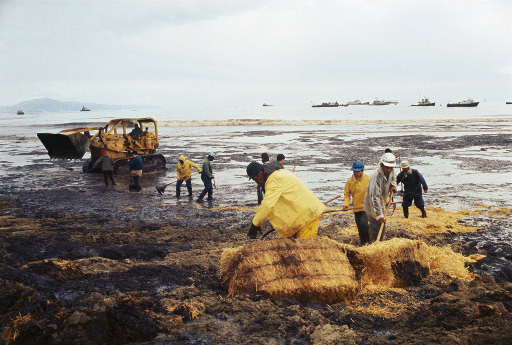Detail of Workmen Dragging Hay Along the Beaches by Anonymous