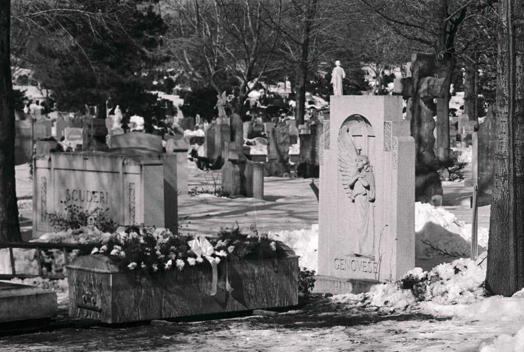 Detail of Coffin at Burial Site by Anonymous