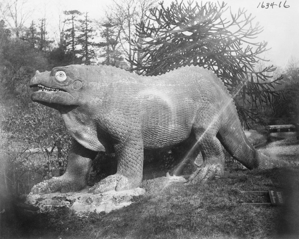 Detail of Portrait of an Iguanadon by Anonymous
