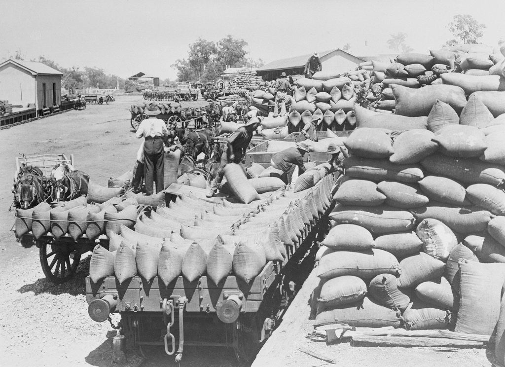 Detail of Loading Wheat by Anonymous