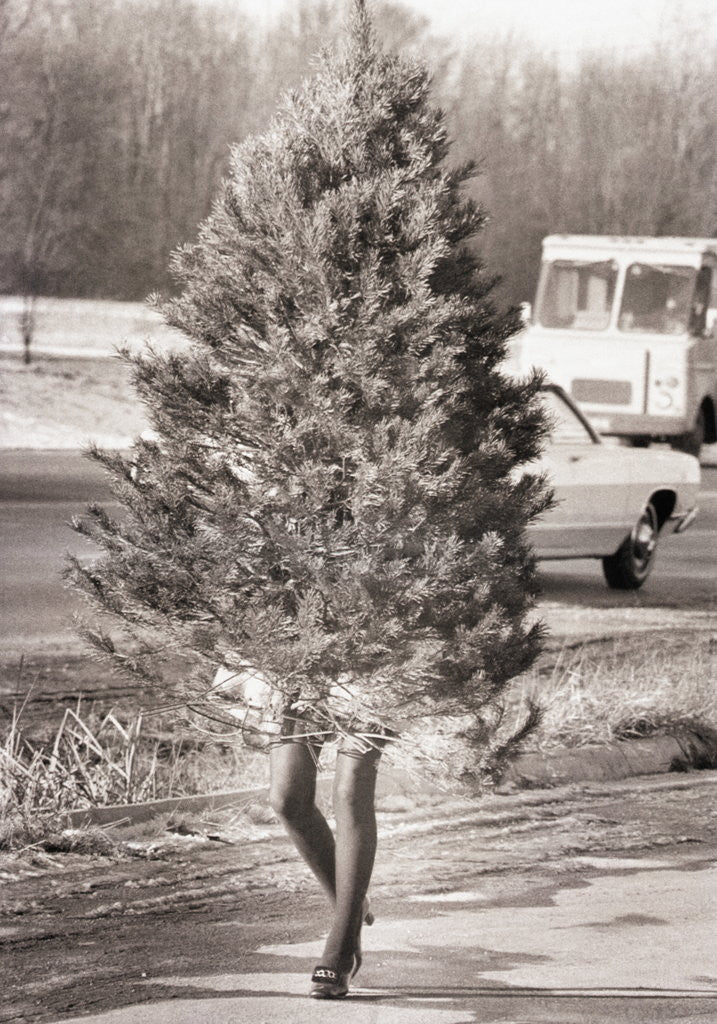 Detail of Woman Hidden Behind Her Christmas Tree by Anonymous