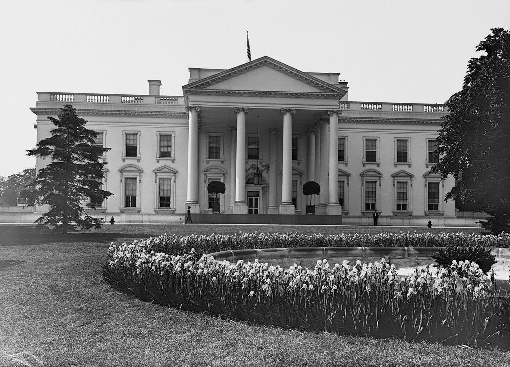 Detail of White House And Iris Garden by Anonymous