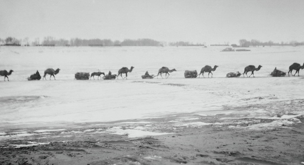 Detail of Camel Train Carrying Supplies by Anonymous