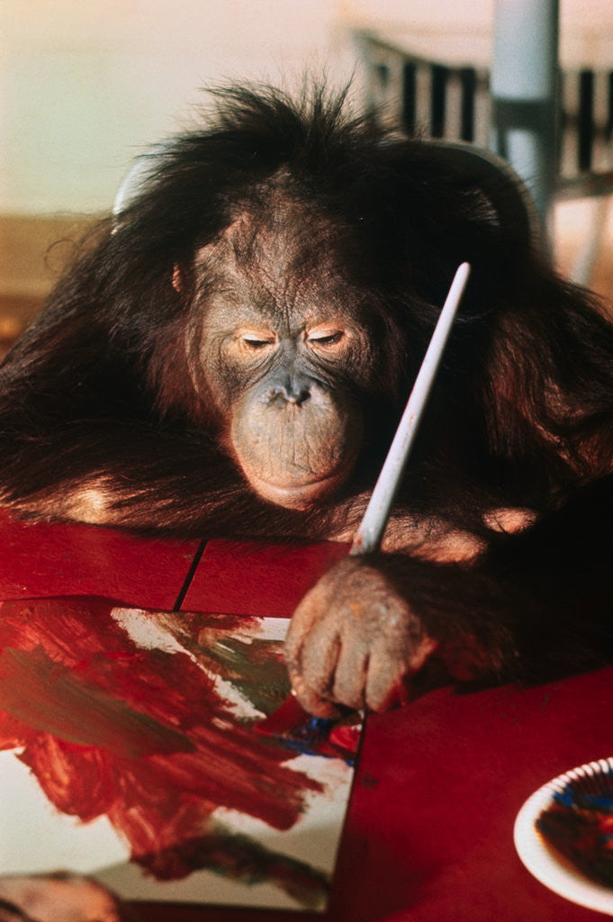 Detail of Orangutan Painting by Anonymous