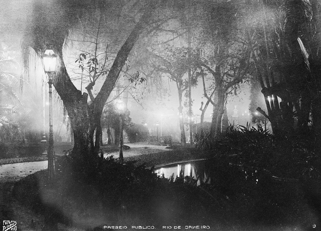 Detail of Rio de Janeiro by Anonymous