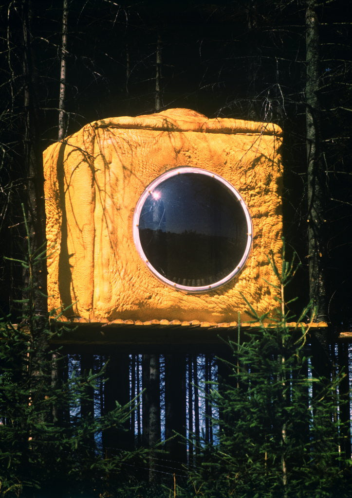 Detail of Bubble Window in Tree House by Anonymous