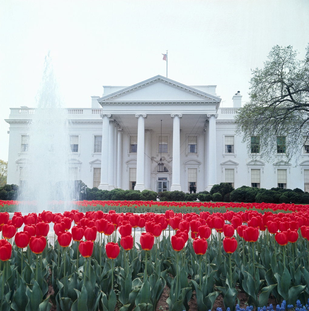 Detail of The White House by Anonymous