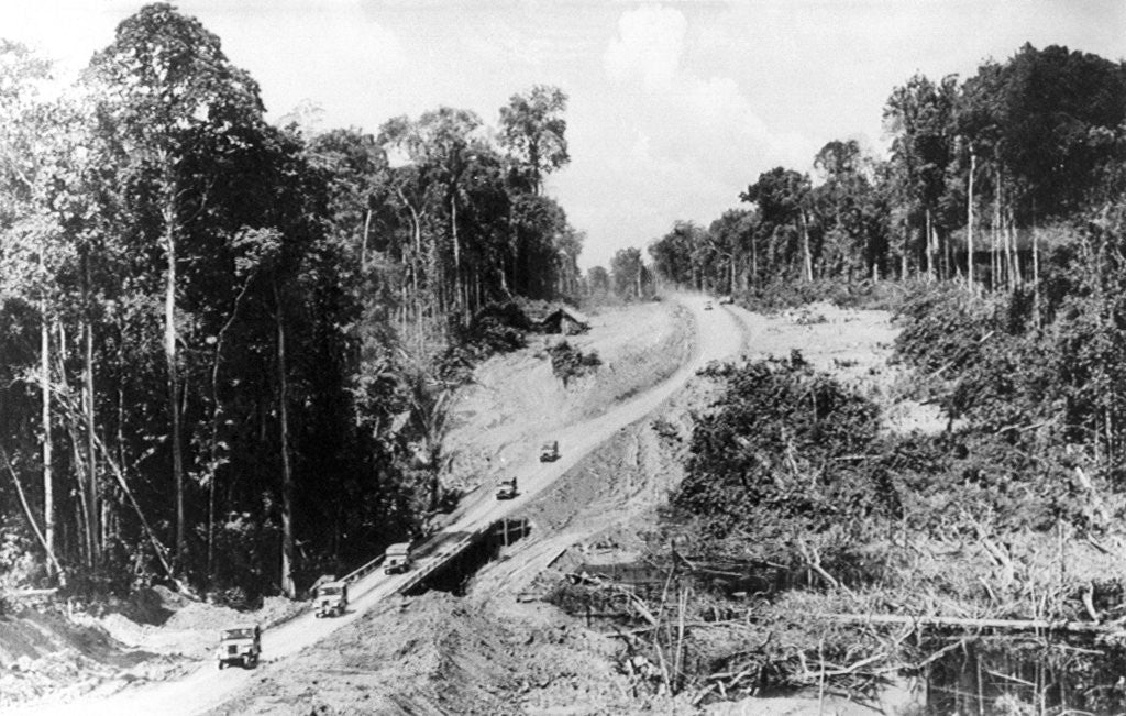 Detail of Trans Amazon Highway by Anonymous