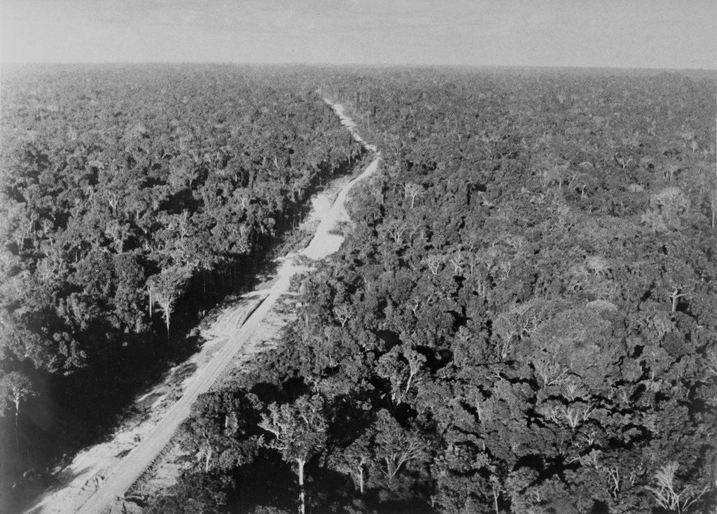 Detail of Trans Amazon Highway by Anonymous