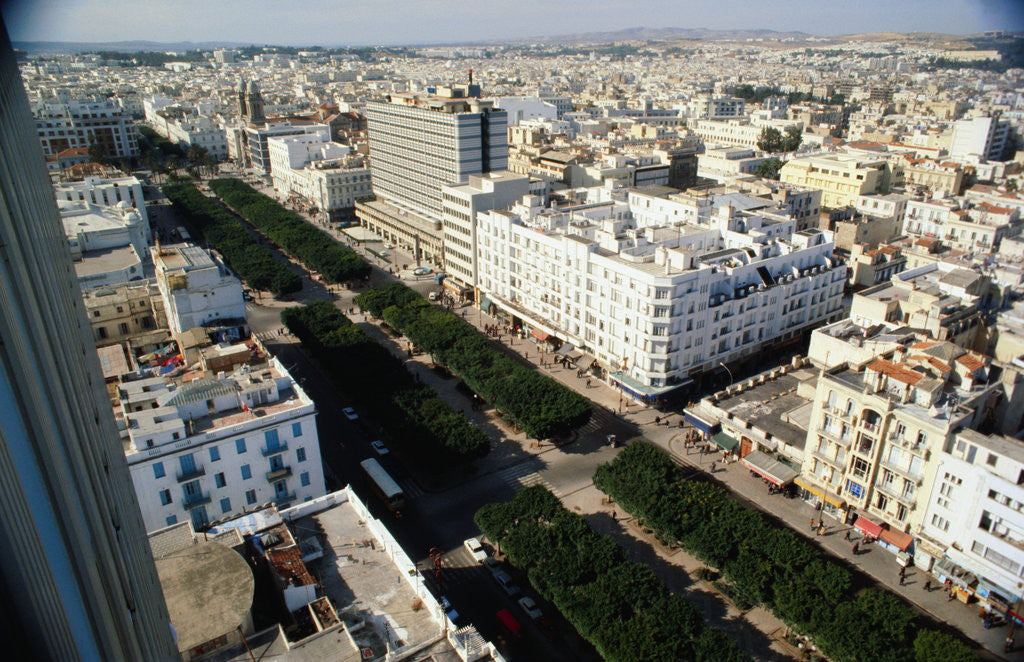 Detail of Tunis City by Anonymous