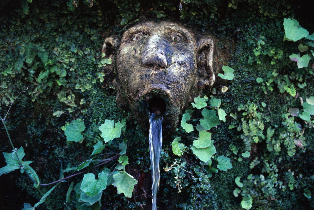 Detail of Fountain at Villa Este by Anonymous