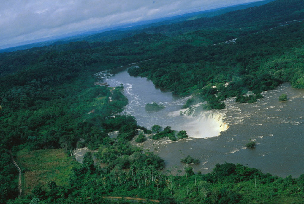 Detail of River and Forest by Anonymous