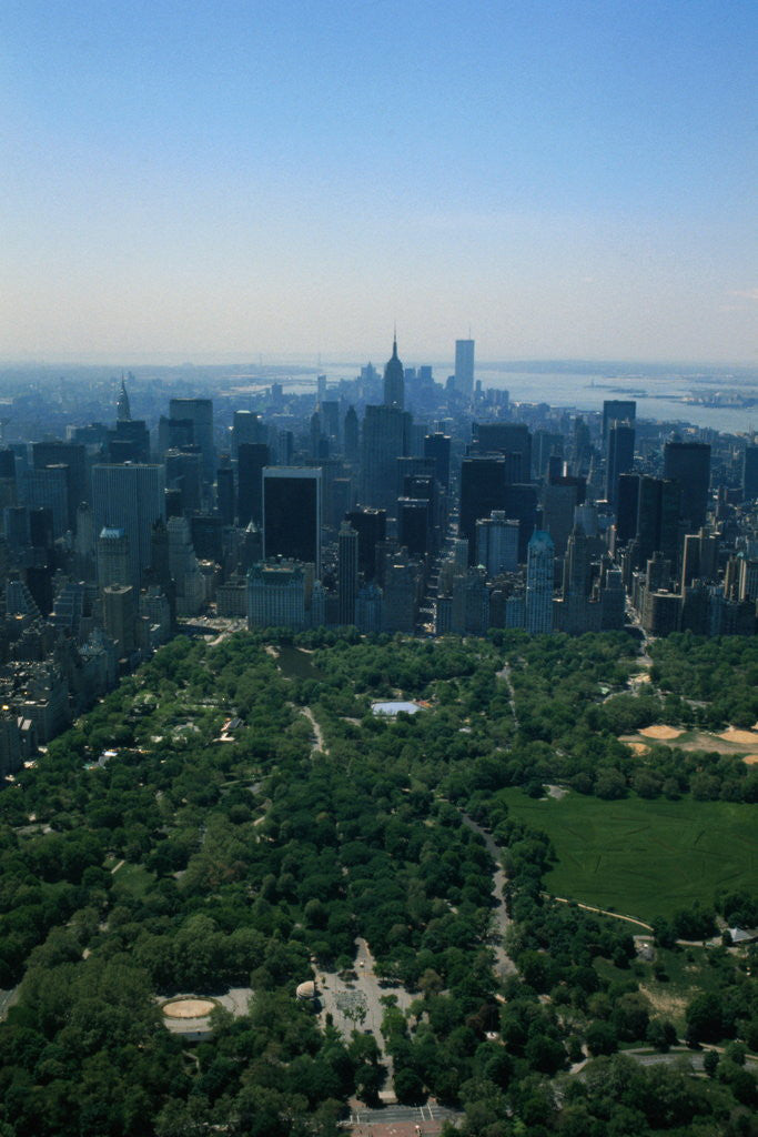 Detail of New York's Central Park by Anonymous