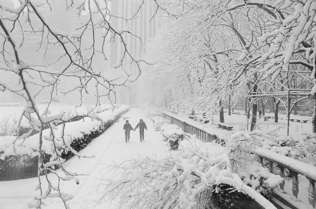 Detail of Couple Walking Through Park in Snow by Corbis