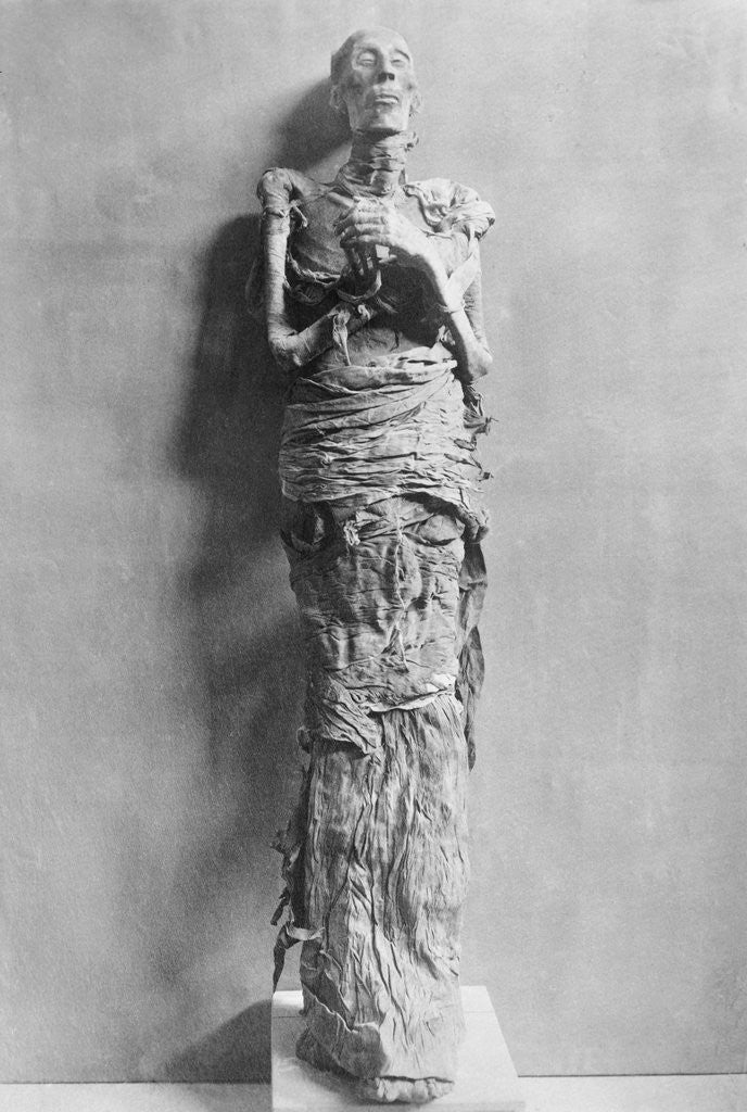 Detail of Mummy of Rameses II by Anonymous