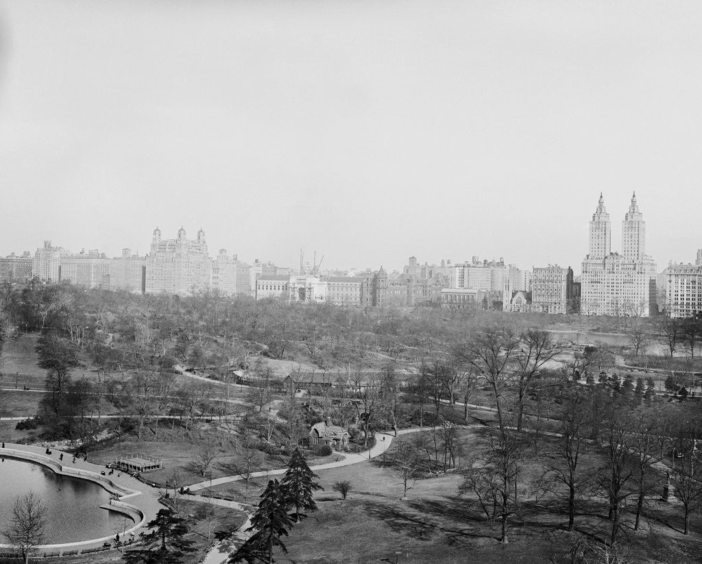 Detail of Central Park West Site from Fifth Avenue by Anonymous