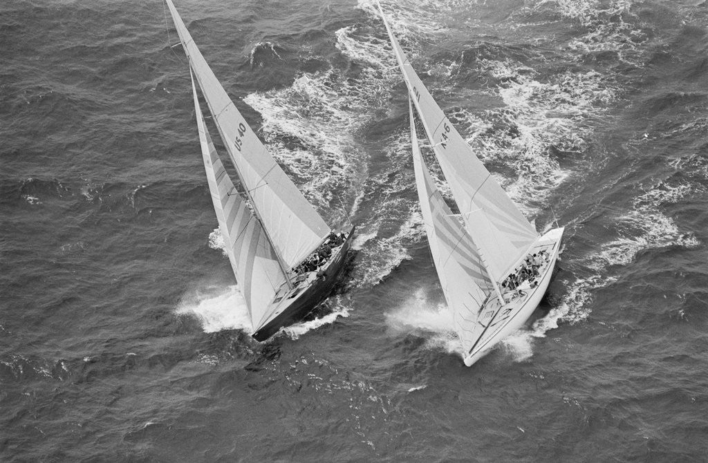 Detail of America's Cup Competitors by Anonymous