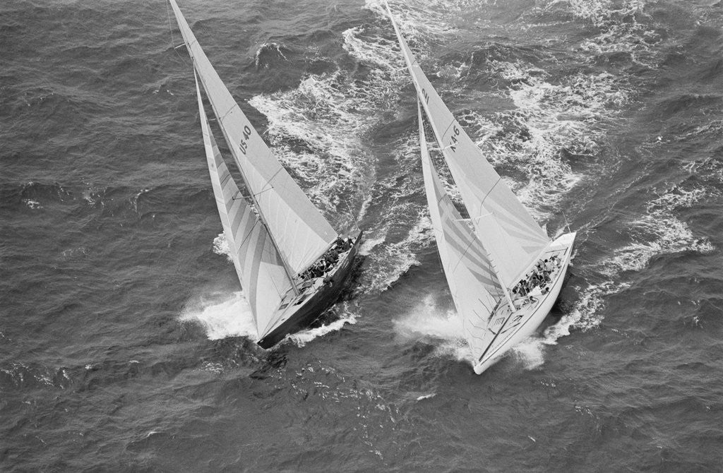 Detail of America's Cup Competitors by Corbis