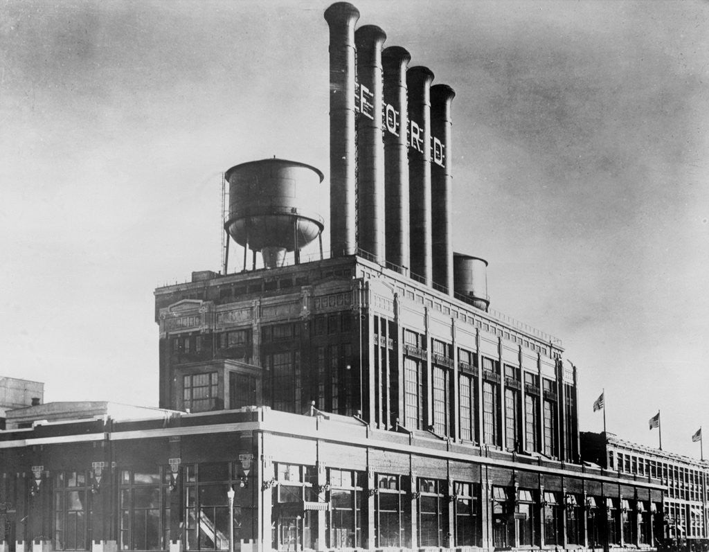 Detail of Highland Park Plant by Anonymous