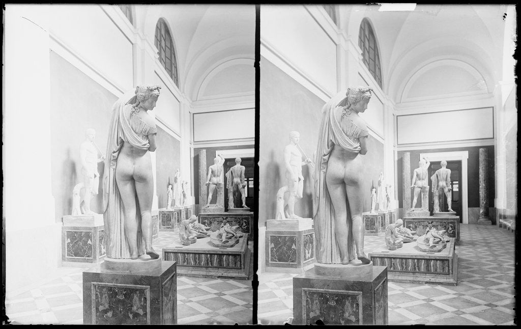 Detail of Aphrodite Callipygos and Other Statues in the Museo Archeologico Nazionale in Naples, Italy by Anonymous